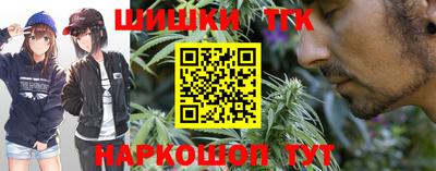 дмт Можга