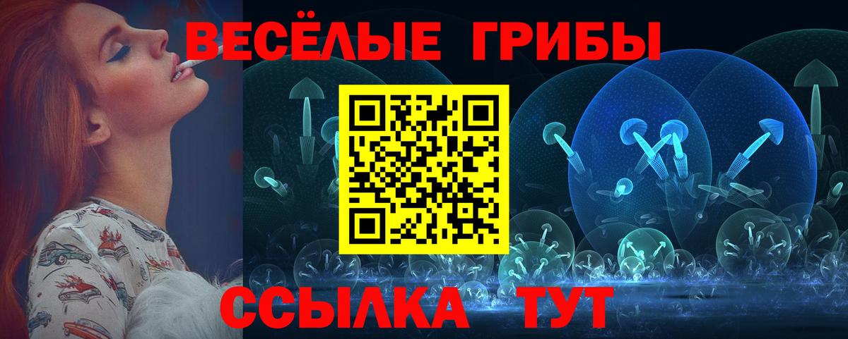 Псилоцибиновые грибы MAGIC MUSHROOMS Верхняя Пышма