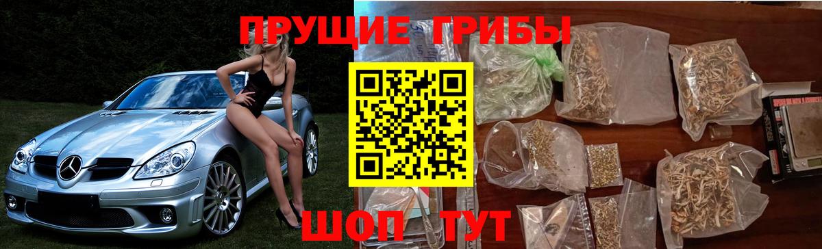 Верхняя Пышма  Псилоцибиновые грибы прущие грибы  наркотики  Вход с VPN 